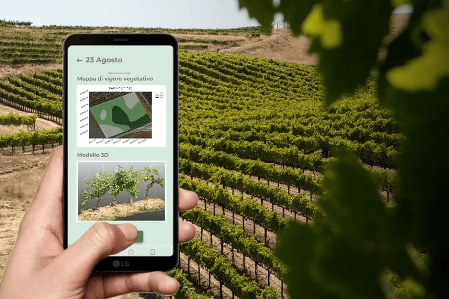 Caso Studio: l’utilizzo dell’app iAgro in vigneto