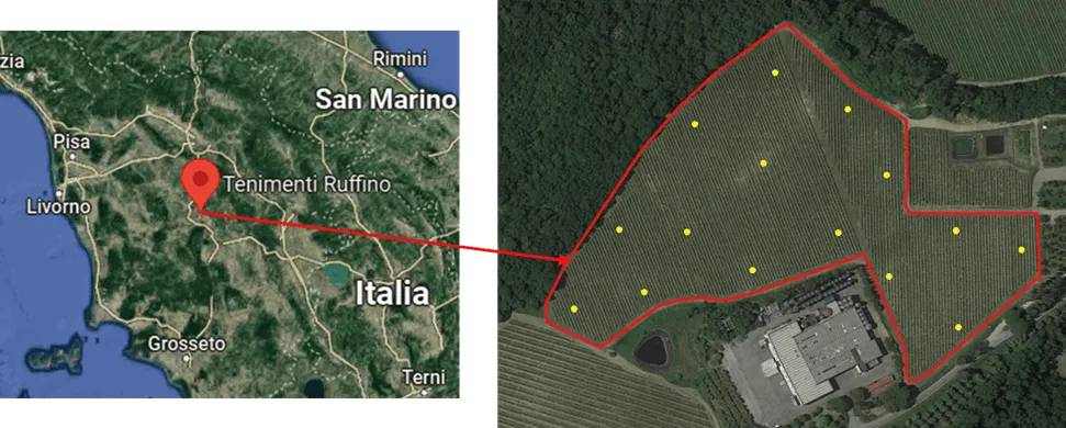 rilievo app iAgro vigneto