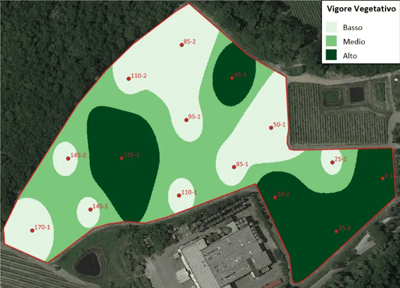 mappa-di-vigore-LAI-vigneto