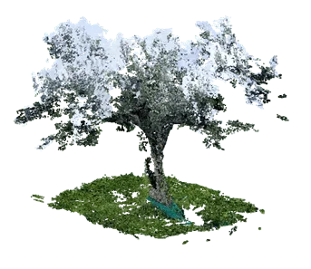 digital-twin-olivo