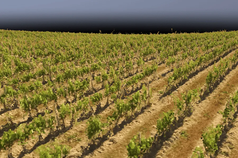 Progetto: AgroTwin, AI e computer vision per ottimizzare i trattamenti fitosanitari