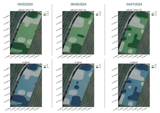 mappe-di-vigore-prescrizione-vigneto