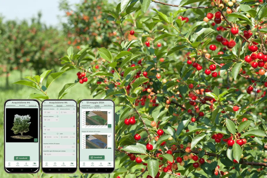 Progetto: SmartCherry, un DSS per smartphone per democratizzare l’accesso all’agricoltura di precisione ai cerasicoltori