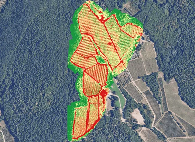 mappa-vigore-vigneto-drone