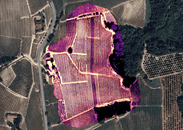 mappa-termica-vigneto-drone