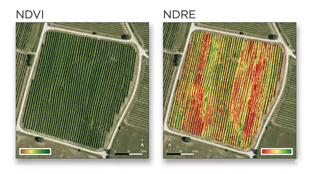 Immagine satellitare NDVI e NDRE di un campo agricolo.