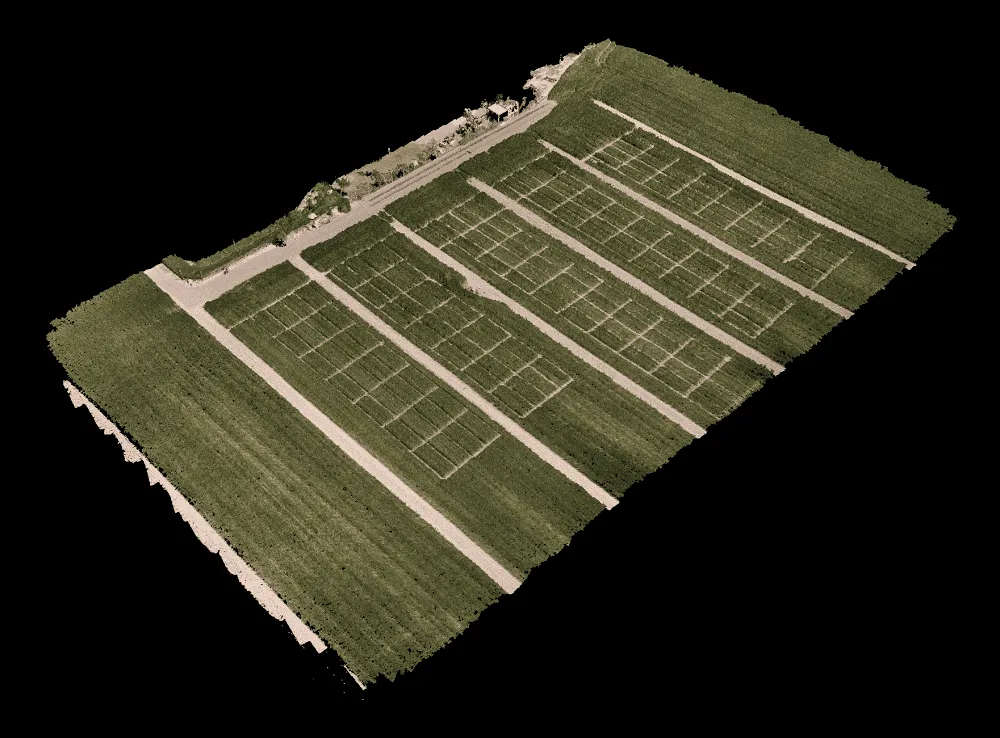 modello 3D trial plot frumento