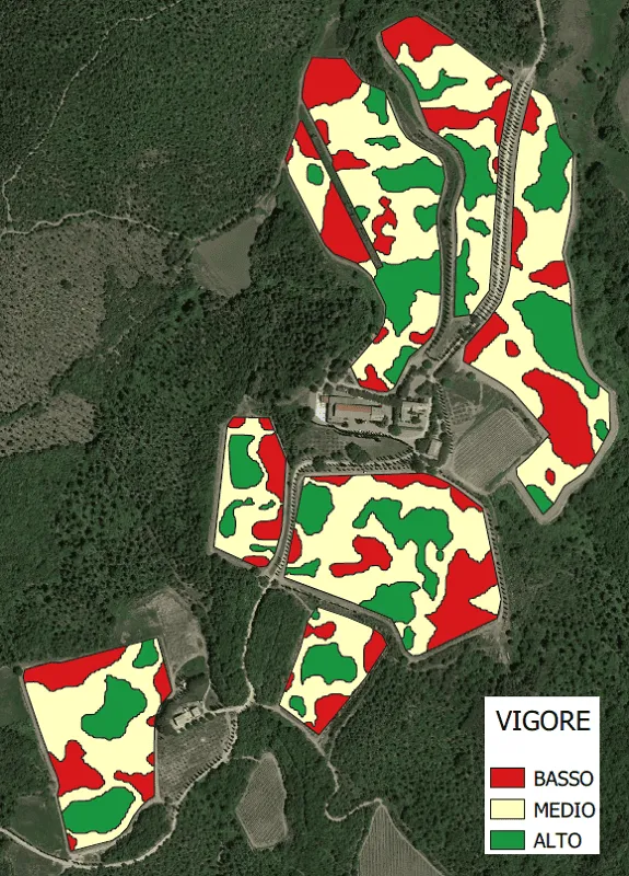 mappatura vigore vegetativo con drone