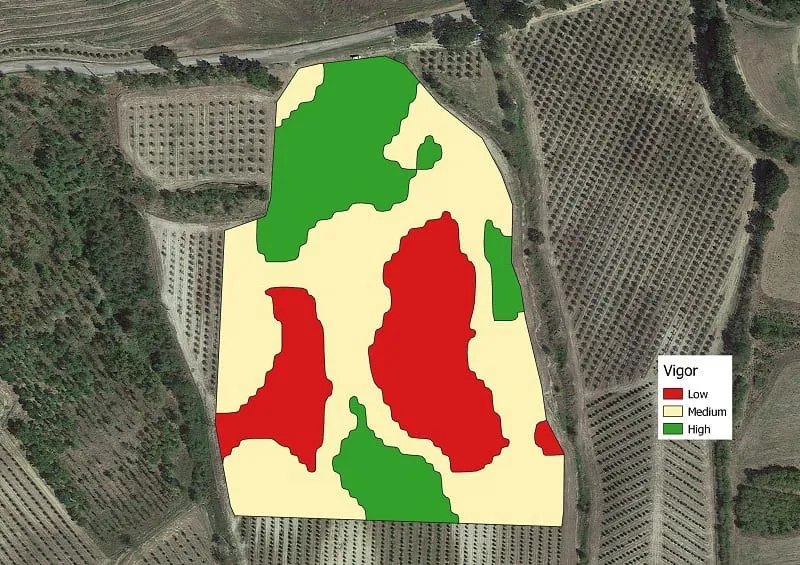 zonazione del vigore vegetativo