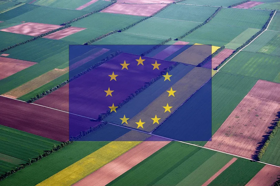 Opportunità ACA24 e Fondo Innovazione Agricoltura