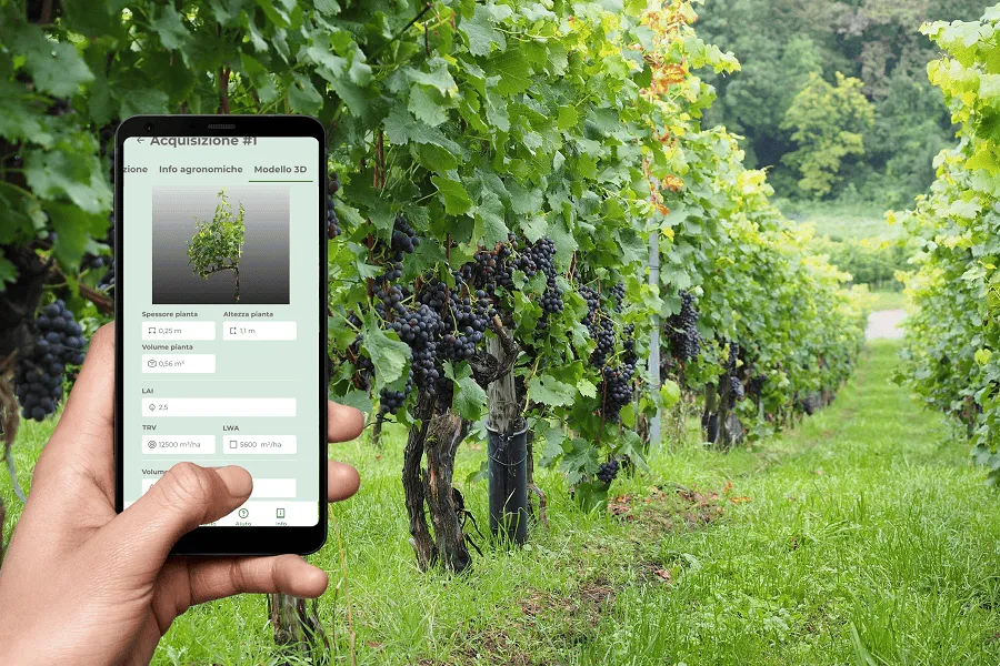 Progetto: iVine, il gemello digitale del vigneto per supportare i viticoltori