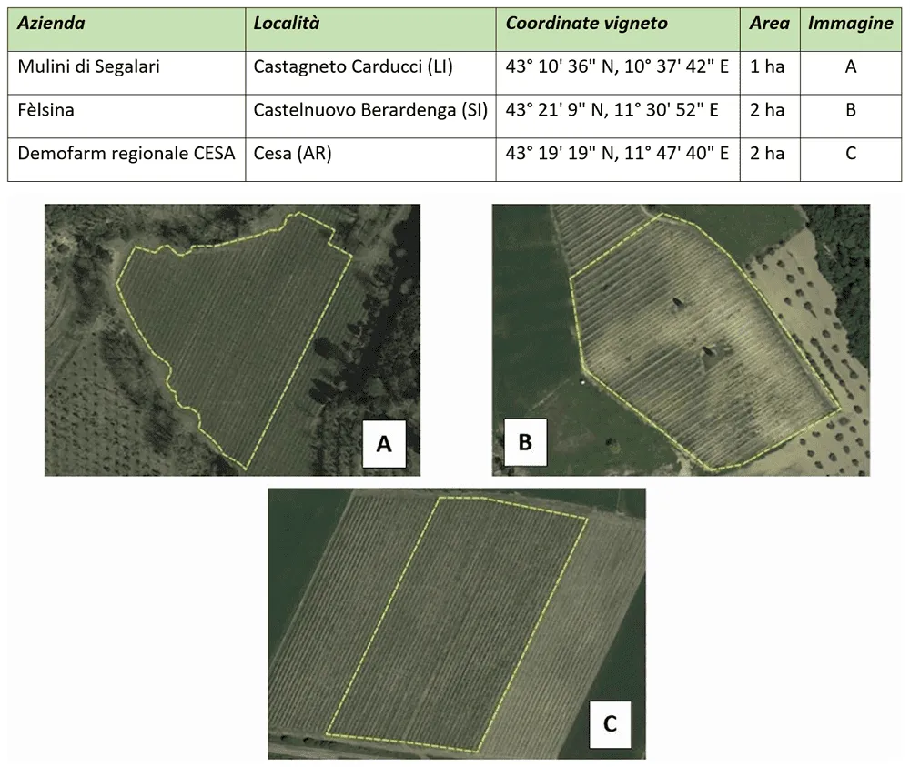 Tabella dei vigneti pilota del progetto iVine (Mulini di Segalari, Fèlsina, Demofarm CESA) con immagini satellitari degli appezzamenti