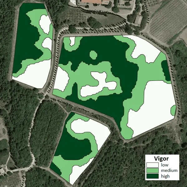 Schermata dell'app iAgro: Mappa di vigoria (LAI)