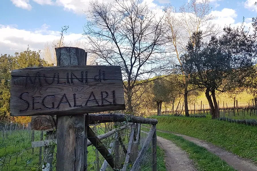 Voci dal campo: Mulini di Segalari