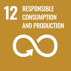 Obiettivo di Sviluppo Sostenibile 12: Consumo e produzione responsabili
