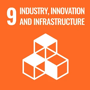 Obiettivo di Sviluppo Sostenibile 9: Imprese, innovazione e infrastrutture